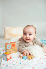 Load image into Gallery viewer, Milestone Baby Blocks
