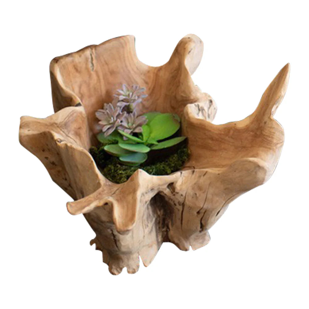 Teak Root Bowl  (Pick Up Only)