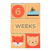 Load image into Gallery viewer, Milestone Baby Blocks
