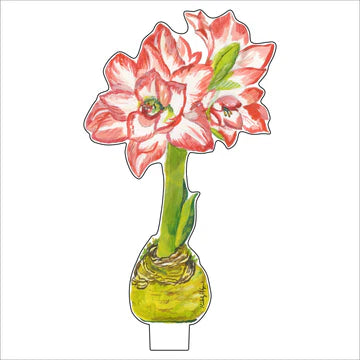 Peacock Amaryllis Acrylic  - 2 Sizes
