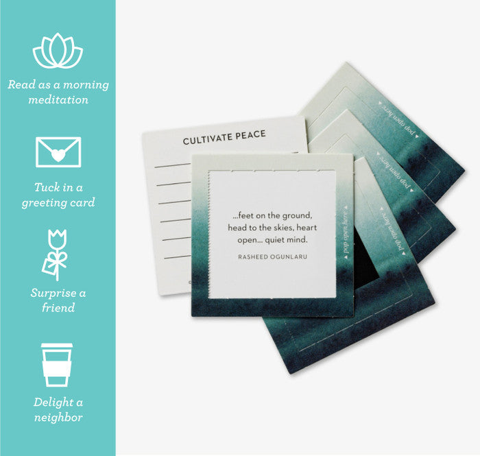 Embrace Calm Pop-Open Cards