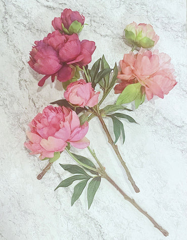 Summer Silk Peony - 3 Colors
