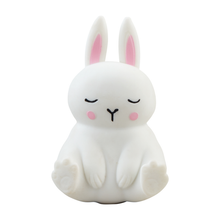 Load image into Gallery viewer, Bunny Stretch And Squeeze Toy - 3 Colors
