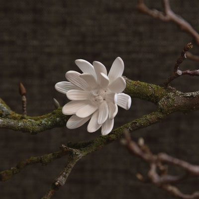 Magnolia Flower Decor
