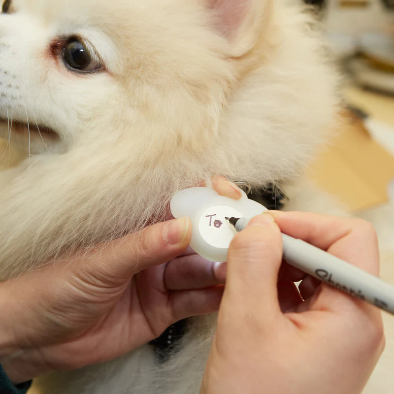 Light Up Tag For Your Dog