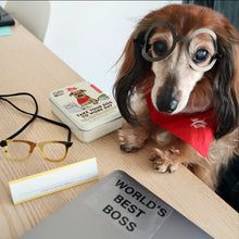 Load image into Gallery viewer, Take Your Dog To Work Day Kit
