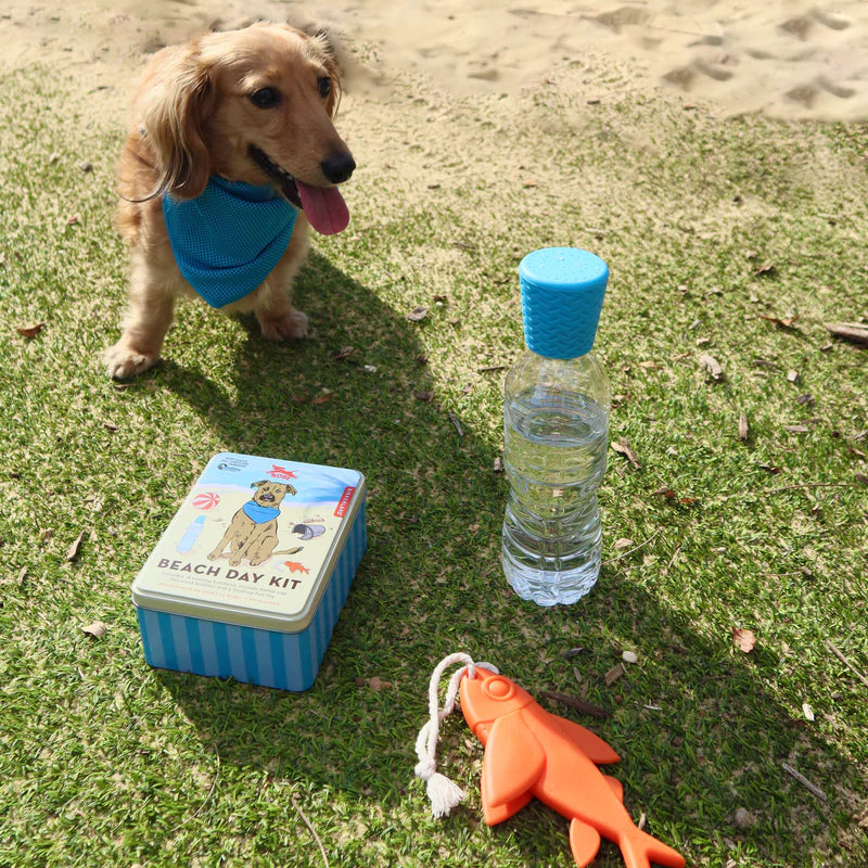 Beach Day Kit For Your Dog