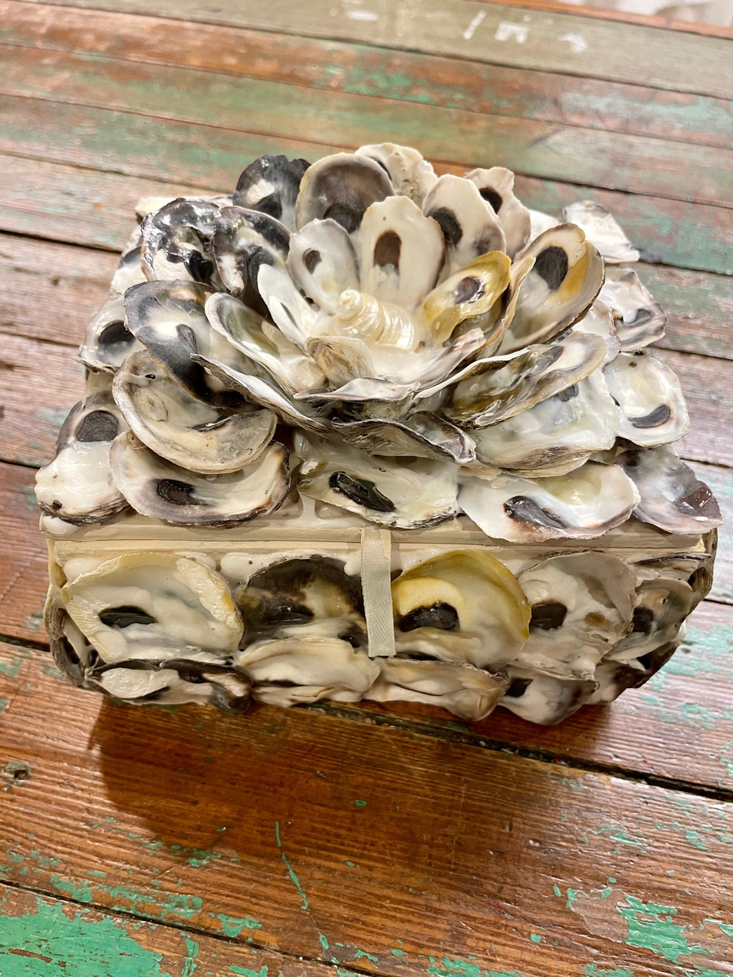 Oyster Shell Box - 2 Sizes