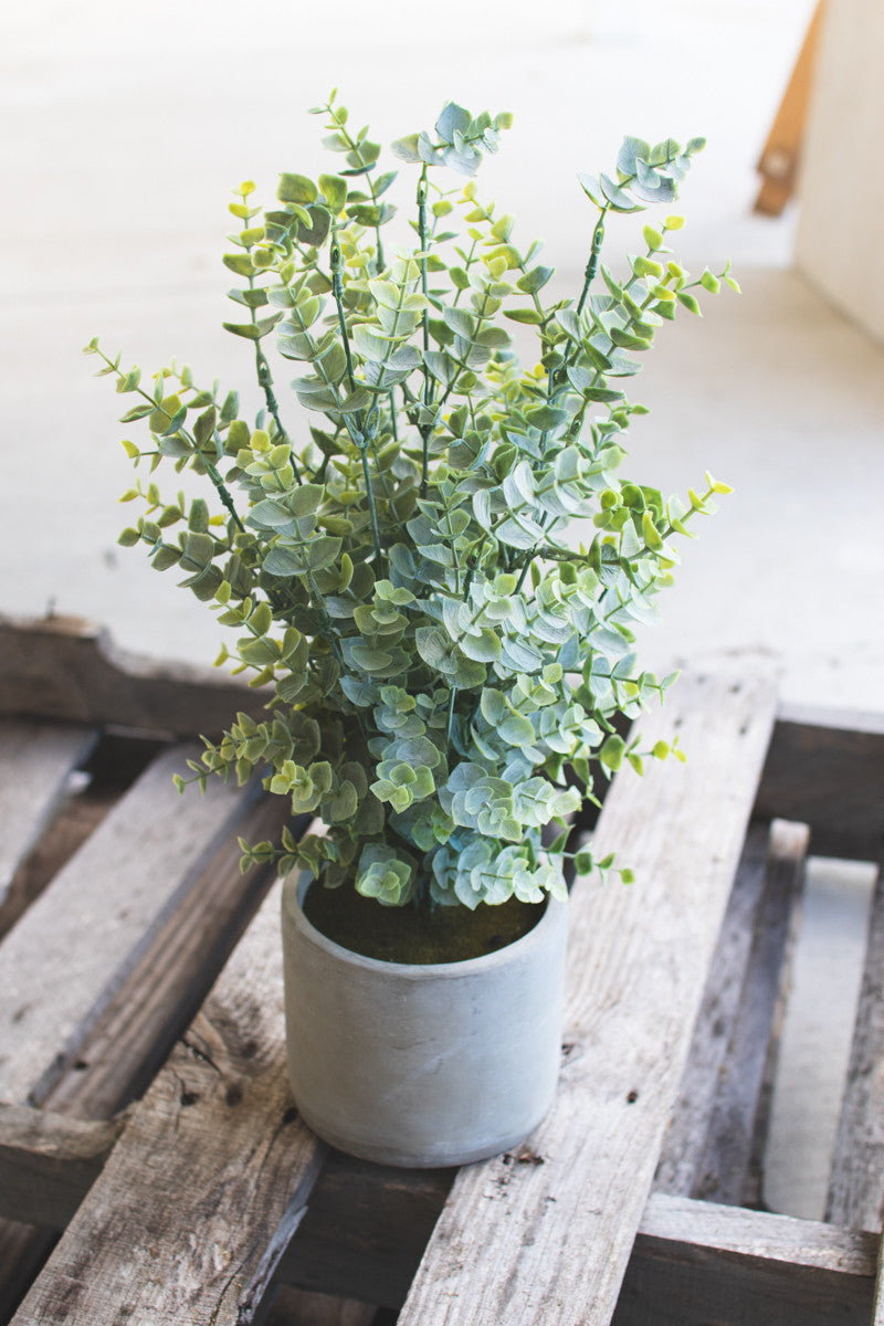 Faux Boxwood in Cement Pot
