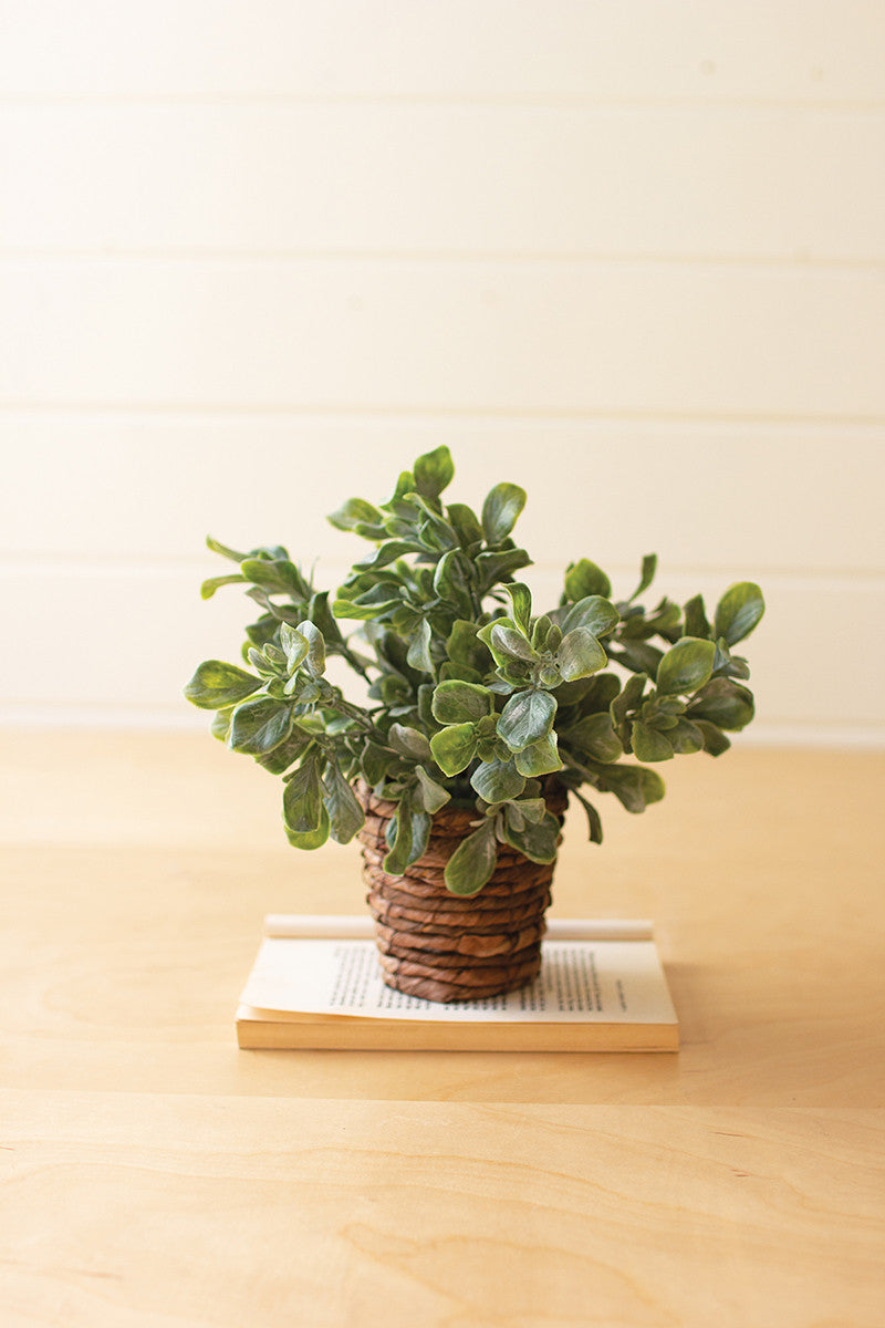 Faux Plant in Basket