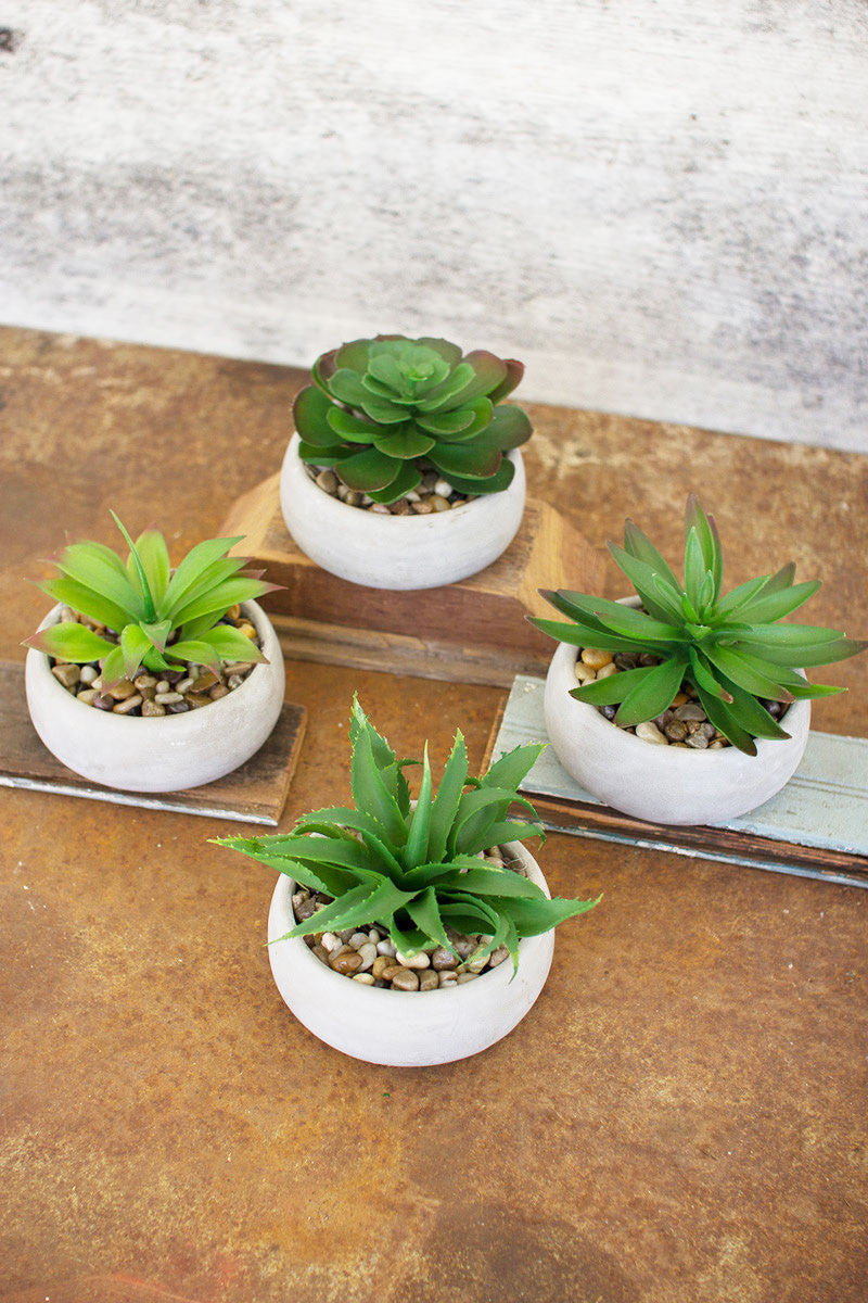 Faux Succulent in Cement Pot
